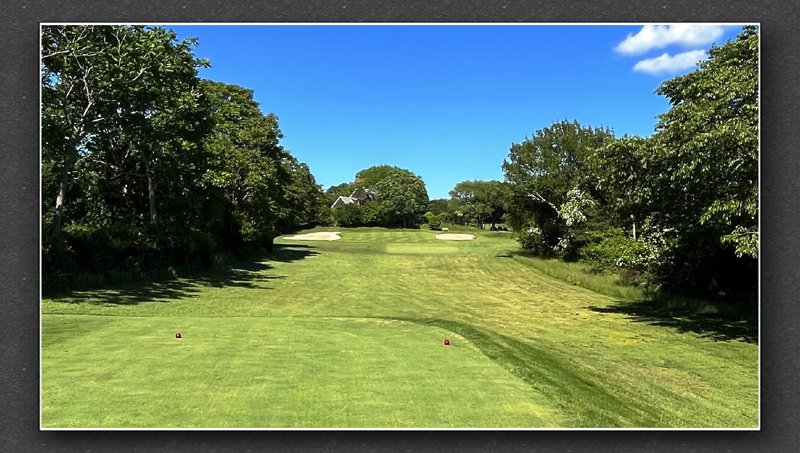 #3. Par 3 (170 yards).