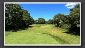 #3. Par 3 (170 yards).